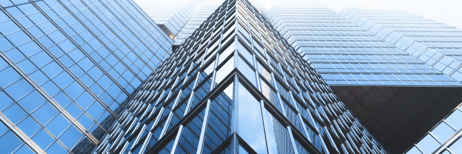 photo of skyscrapers; corporate law firm banner for Mai Law Pro Theme, a Wordpress law theme